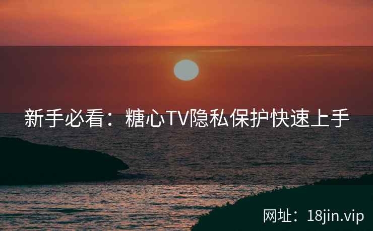 新手必看：糖心TV隐私保护快速上手