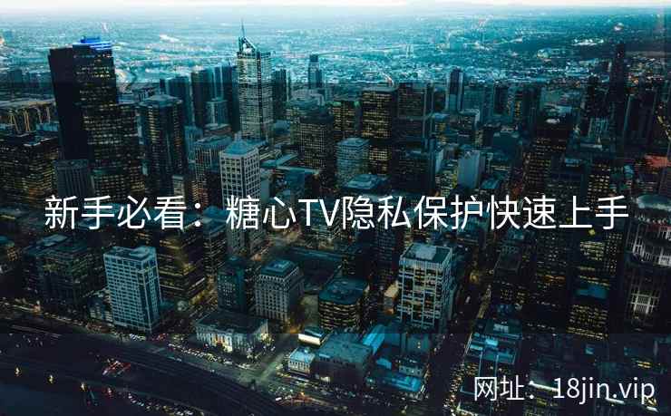 新手必看：糖心TV隐私保护快速上手