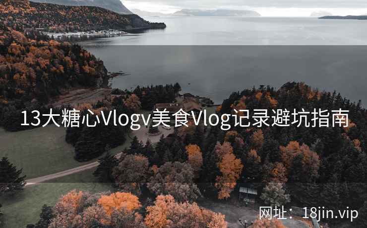13大糖心Vlogv美食Vlog记录避坑指南