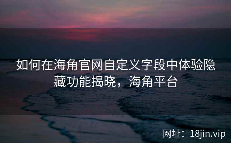 如何在海角官网自定义字段中体验隐藏功能揭晓,海角平台