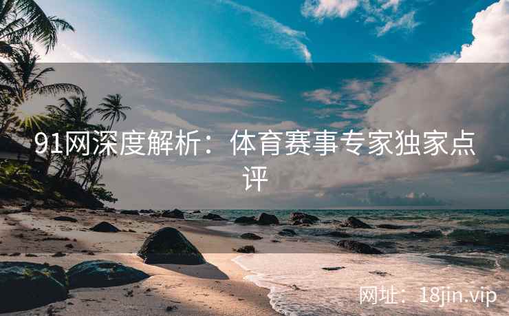 91网深度解析:体育赛事专家独家点评