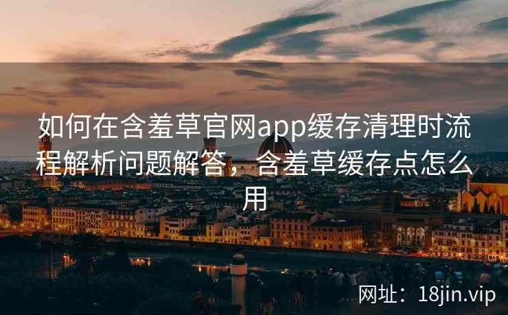 如何在含羞草官网app缓存清理时流程解析问题解答,含羞草缓存点怎么用