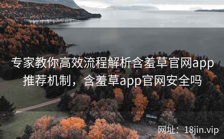 专家教你高效流程解析含羞草官网app推荐机制,含羞草app官网安全吗